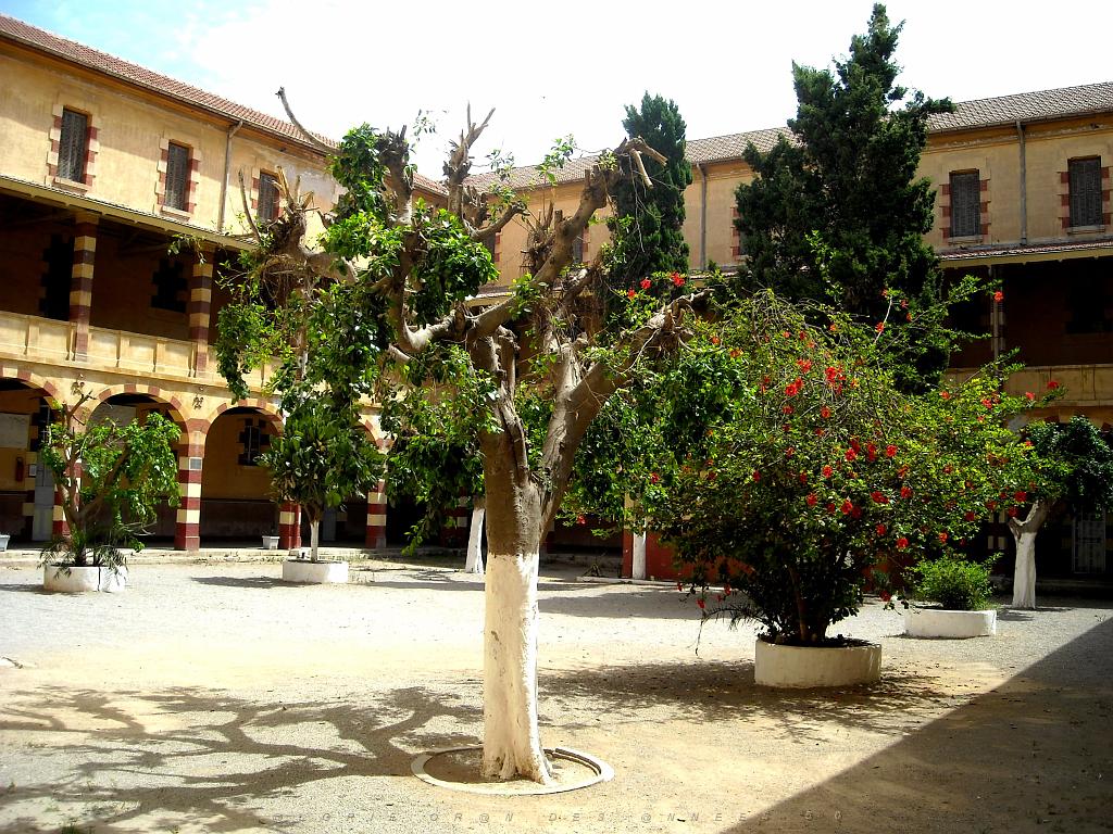 ORAN 2009 JUILLET LYCEE PASTEUR EX LAMORICIERE (11).jpg